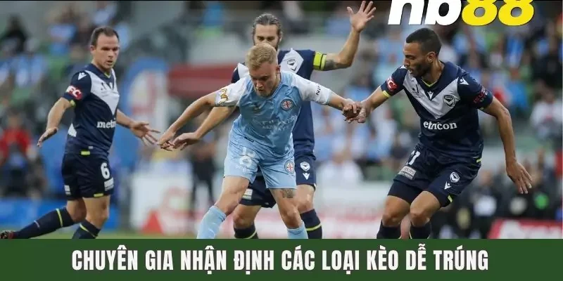 Chuyên gia nhận định các loại kèo dễ trúng